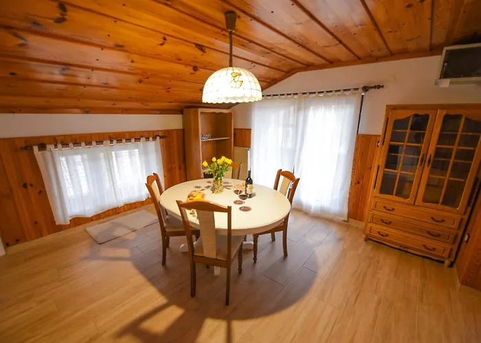 度假居 Toplica Natura With Natural Thermal Bath